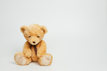 Teddy bear isolated on white background.