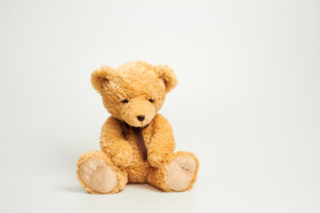 Teddy bear isolated on white background.