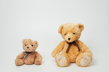 Teddy bear isolated on white background.