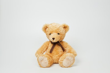 Teddy bear isolated on white background.