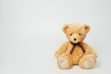 Teddy bear isolated on white background.