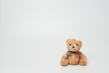 Teddy bear isolated on white background.