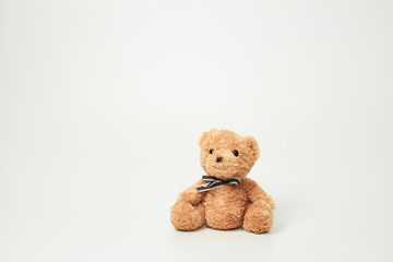 Teddy bear isolated on white background.