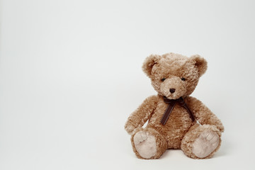 Teddy bear isolated on white background.