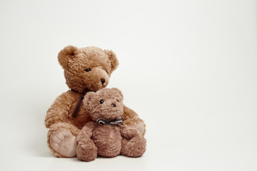 Teddy bear isolated on white background.