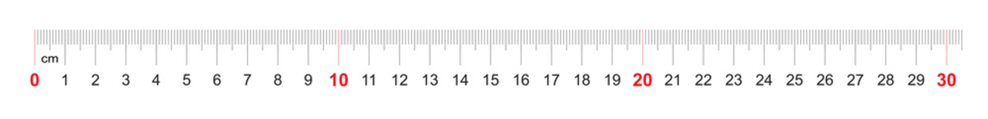 Grid for a ruler of 300 millimeters, 30 centimeters. Calibration grid. Value division 1 mm. Precise length measurement device. - obrazy, fototapety, plakaty