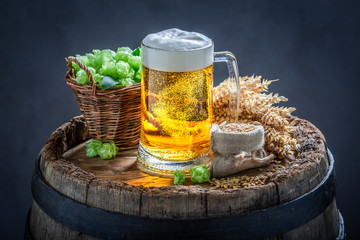 Cold and gold light beer with foam and hops