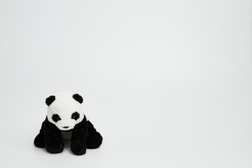Cute panda doll isolated on white background. (with free space for text) 