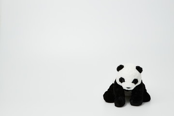 Cute panda doll isolated on white background. (with free space for text)  © Leejeongjin