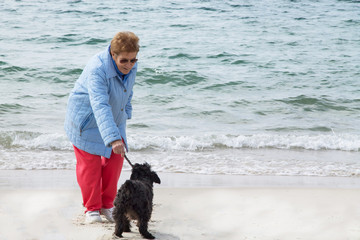 owner with his dog playing on the beach