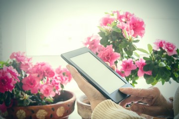 woman at home with digital tablet or laptop