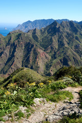 Fototapeta na wymiar view from Mirador Pico del Ingles Tenerife
