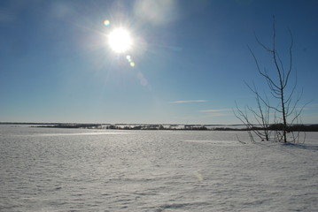 snow field