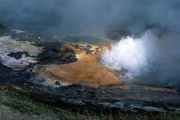 Aus der Tiefe - Geisir im Yellowstone Nationalpark