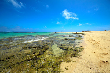 奄美大島　土盛海岸