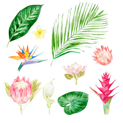 Fototapeta na wymiar Set of watercolor tropical leaves, hand-drawn vector illustration of exotic floral elements isolated on white background. Leaf of palm trees and flowers, vivid jungle foliage. Greeting card, wedding.