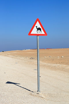 Camel Crossing Sign In The Desert