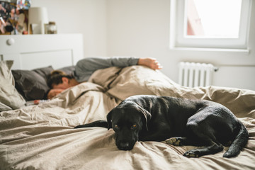 Dog guarding mother and baby sleeping on the bed