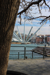 view of the port of Genoa