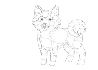 Shiba inu dog
