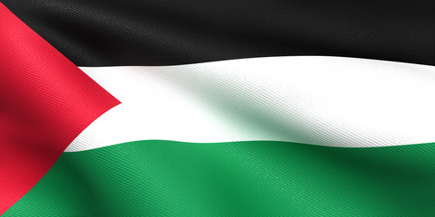 パレスチナ国旗　比率1:2