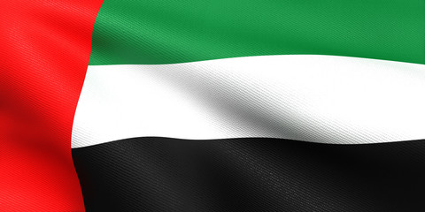 アラブ首長国連邦 国旗　比率1:2