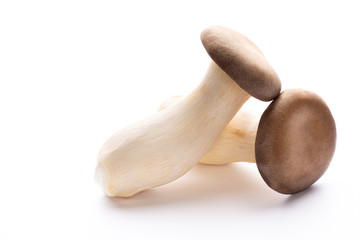 King oyster mushroom on white background.
