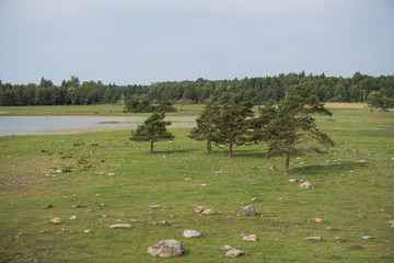 View from a seaside watchtower