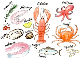 Selbstklebende Fototapete Küche Aquarell Meeresfrüchte Menü Abbildung Set