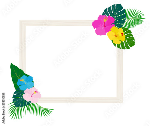南国の植物や花と額縁 Wall Mural Wallpaper Murals Dragontiger8 南国の植物や花と額縁 Wall Mural Wallpaper Murals Dragontiger8