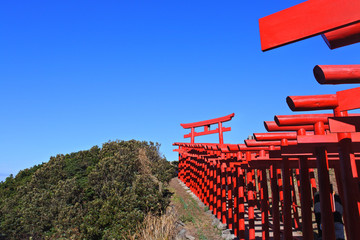 鳥居の道