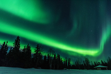 Northern Lights at Chena Lakes in Alaska