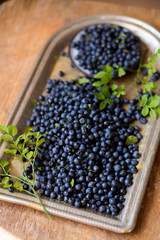 Fresh blueberries with leaves, top view. The concept of health