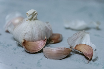 Close up of single garlic bulb and cloves on a white background showing concept of fresh organic home grown vegetables 
