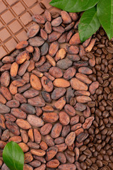 Naklejka premium Chocolate, cocoa and coffee beans with leaves background
