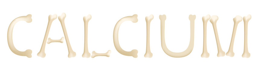 calcium bone vector graphic	