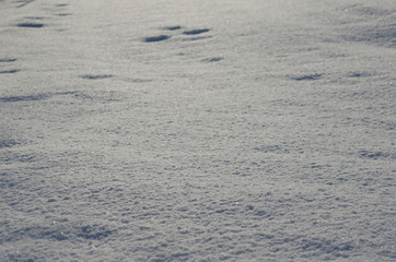 snow surface in spring day