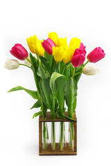 bouquet of tulips in the original wooden vase. Isolated on white background.