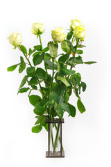 bouquet of white roses in the original wooden vase. Isolated on white background.