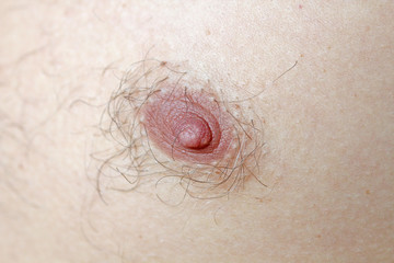 Hairy Nipple Pics
