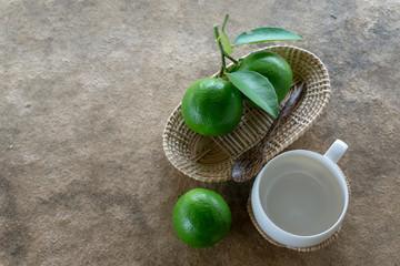Lime green on white wood and glass