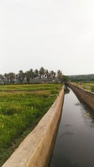 Our village beauty of kerala