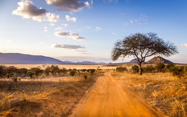 Safari road in Kenya - 258528387
