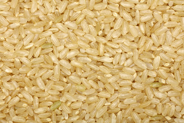 Background of short grain brown rice