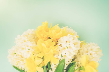hyacinth and daffodils