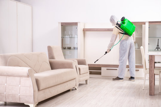 Pest control contractor working in the flat 