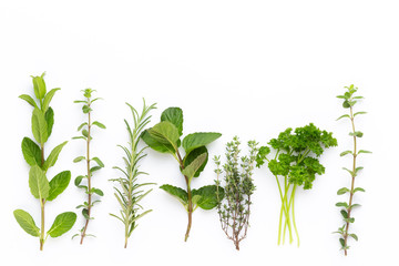 Herbal spice on a white background. Top view.