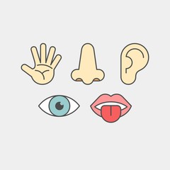 Sense organs flat vector icons. Hearing, smell, touch, vision, taste flat vector icons