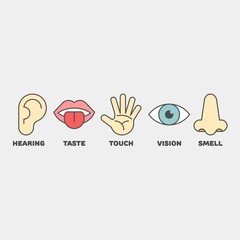 Sense organs flat vector icons. Hearing, smell, touch, vision, taste flat vector icons