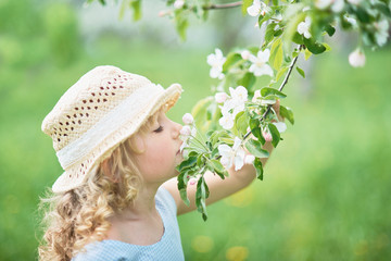 girl sniffing flowers of apple orchard. garden with flowering trees